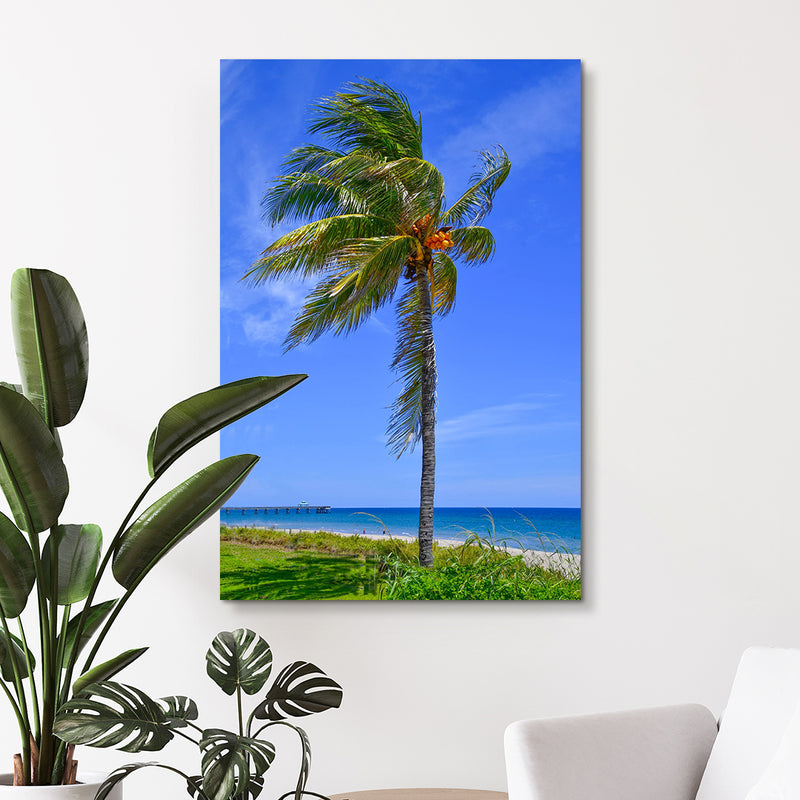 Coconut Palm by the Sea