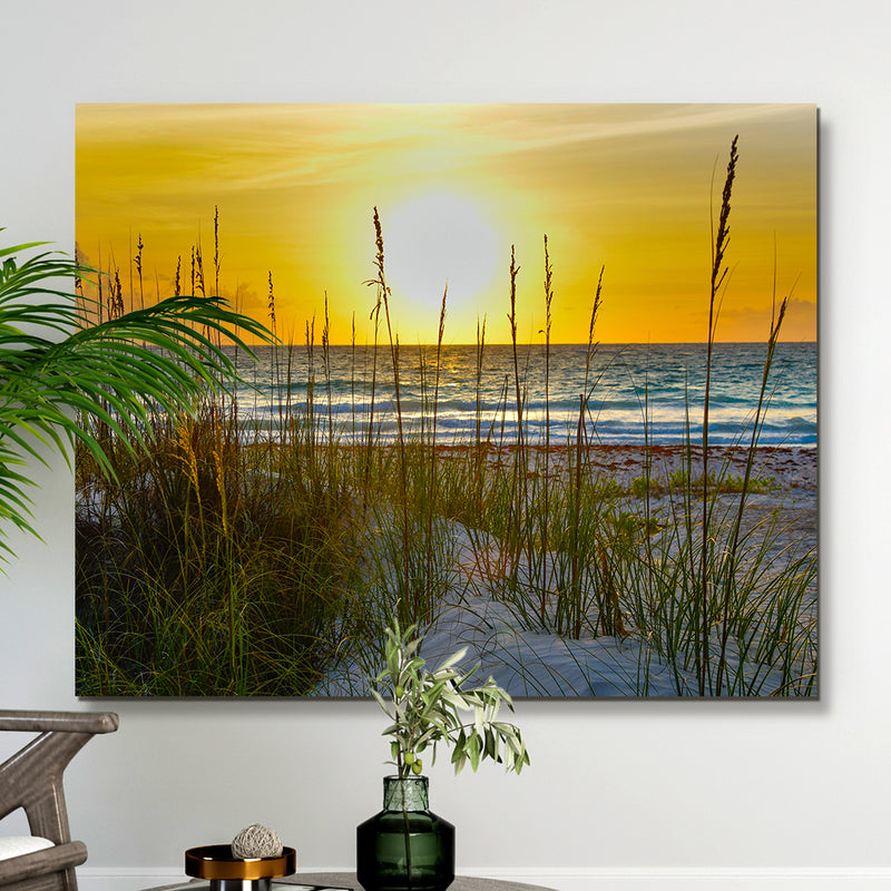 Sea Oats At Sunrise